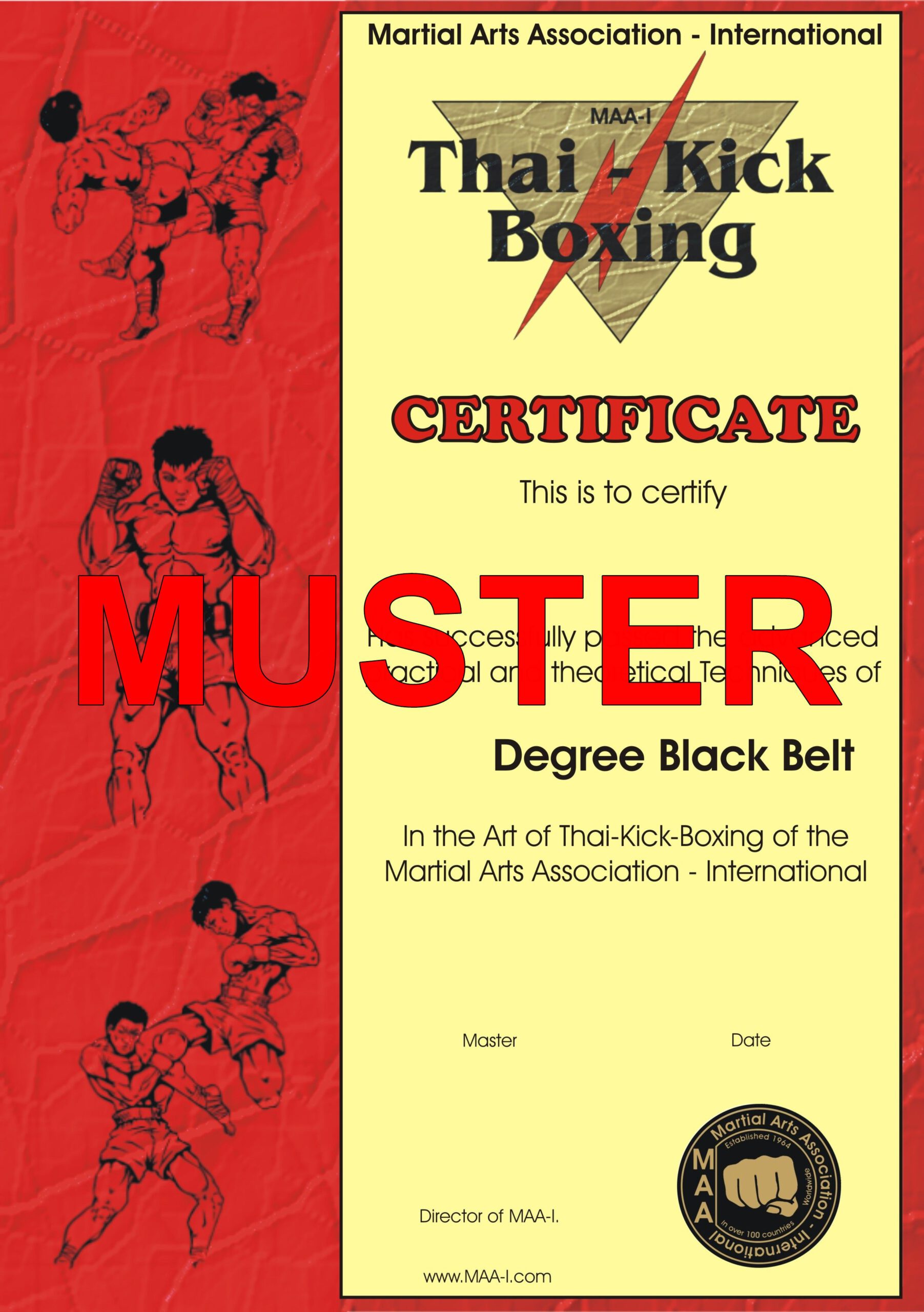 ONOMASTE - Coudière Muay Thai MMA Boxe Thaïlandaise Boxe Thai protège coude  tendinite Protection coude (Black*Noir, Unique) : : Sports et  Loisirs